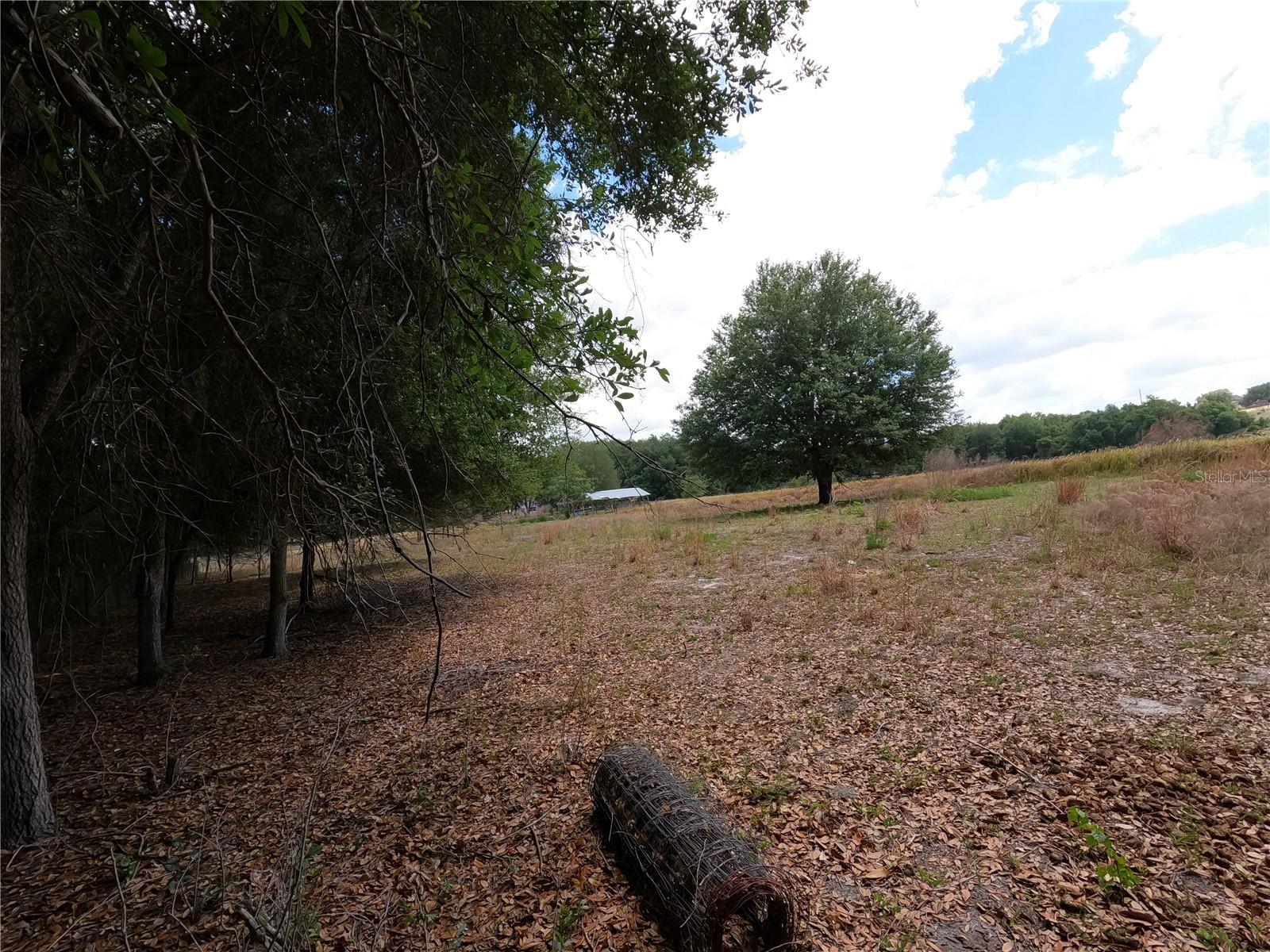 0 EARTH STAR LN, GROVELAND, FL — photo 164