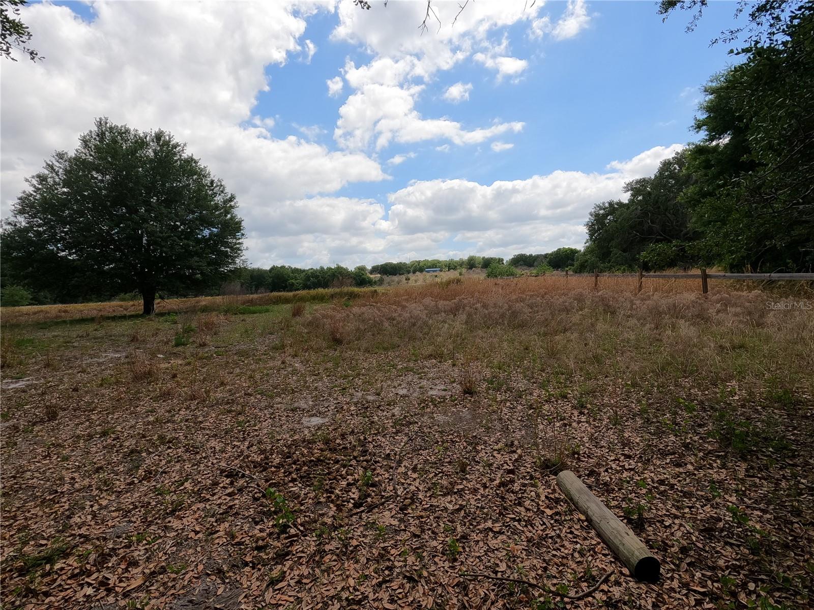 0 EARTH STAR LN, GROVELAND, FL — photo 166