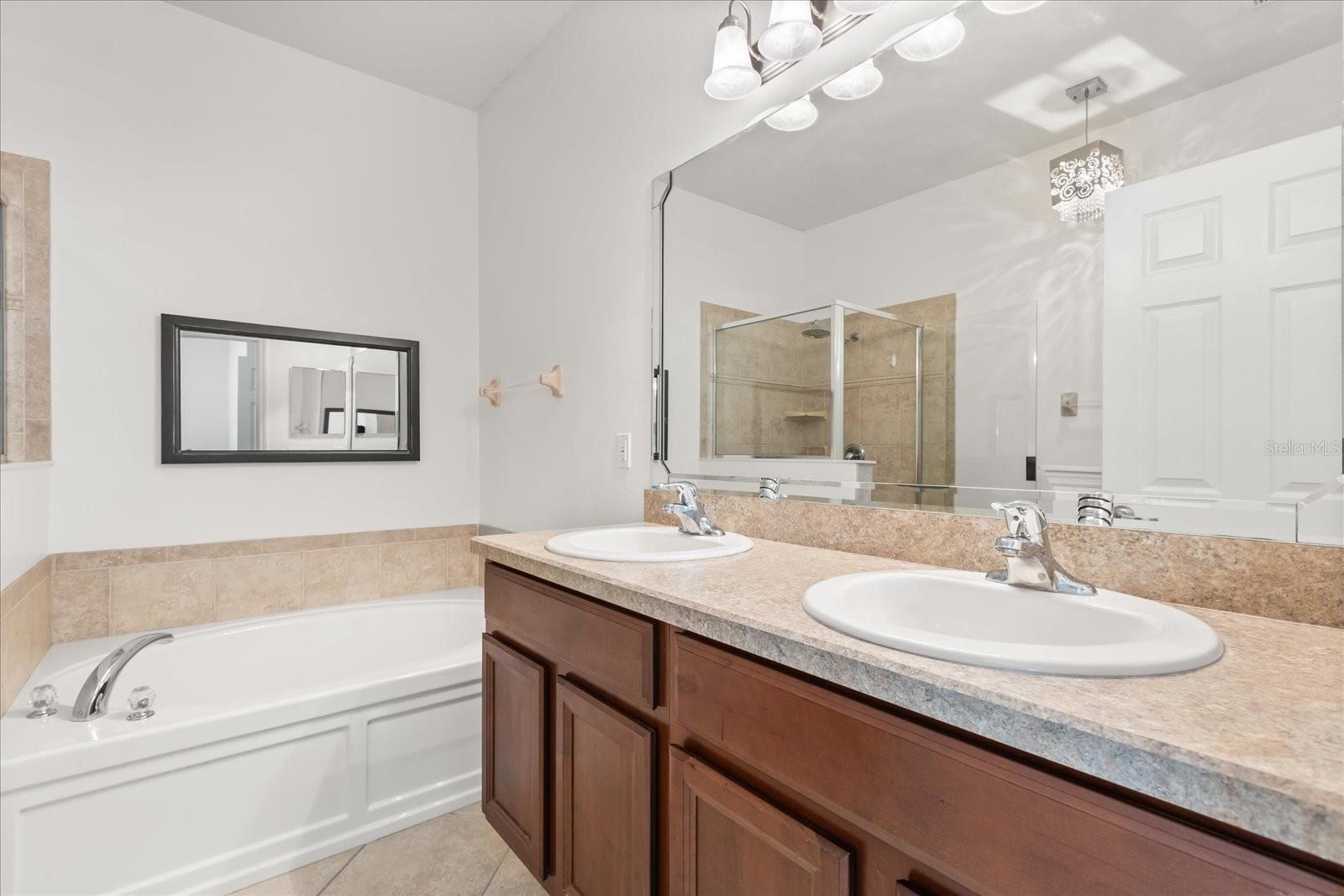 20934 SULLIVAN RANCH BLVD, MOUNT DORA, FL — photo 29