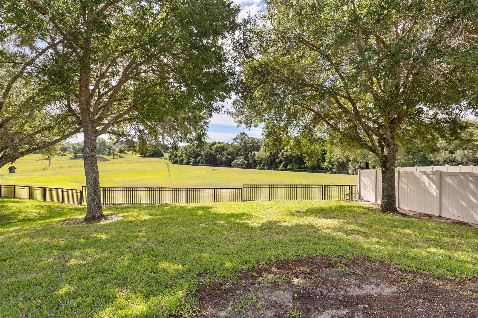 20934 SULLIVAN RANCH BLVD, MOUNT DORA, FL — photo 43