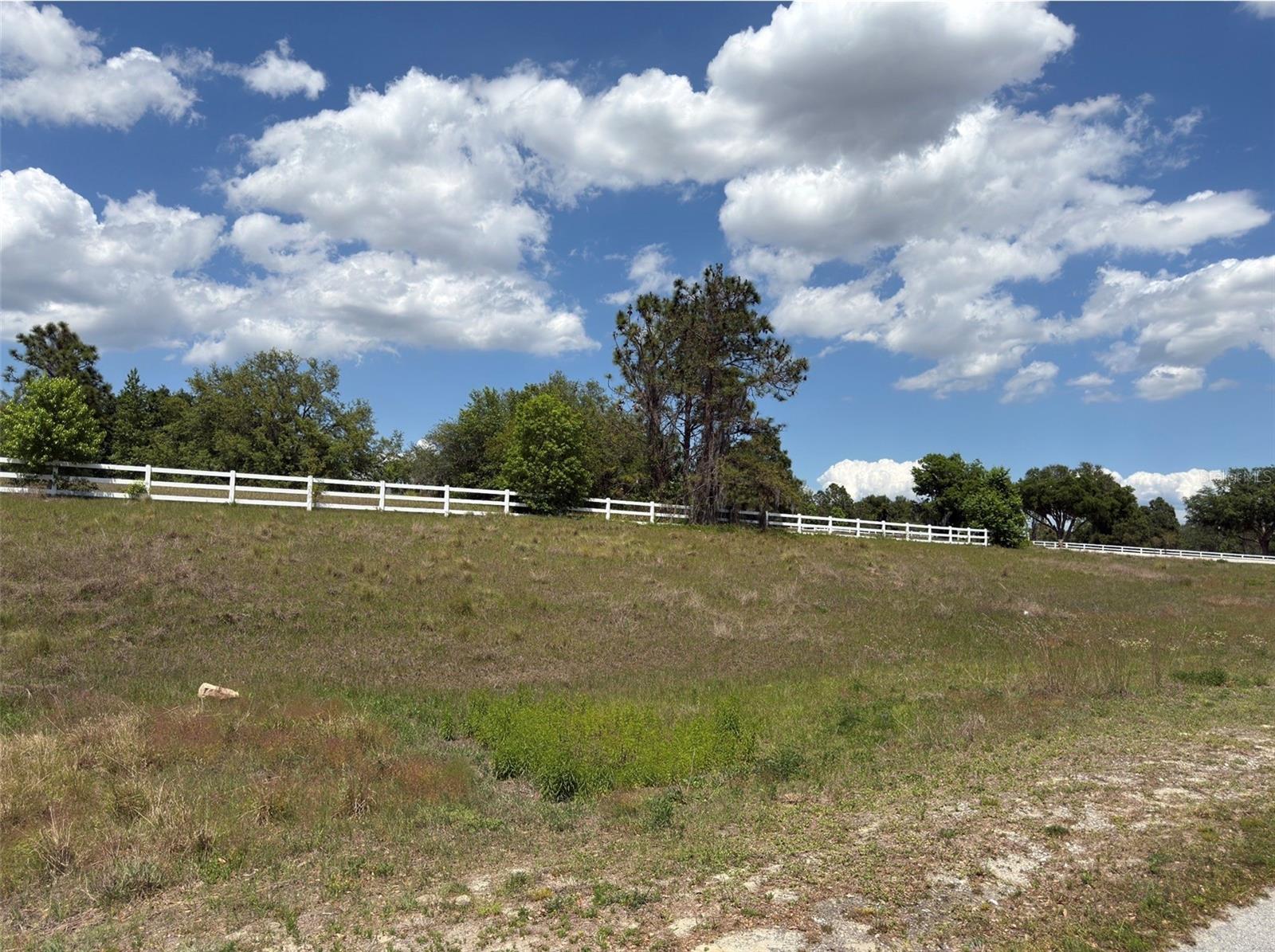 6115 RANCH LAKE RD, GROVELAND, FL — photo 15