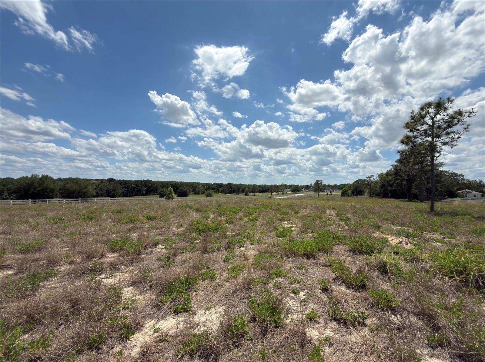 6115 RANCH LAKE RD, GROVELAND, FL — photo 57