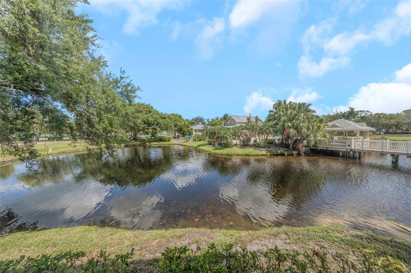 115 112TH AVE NE #703, ST PETERSBURG, FL — photo 8