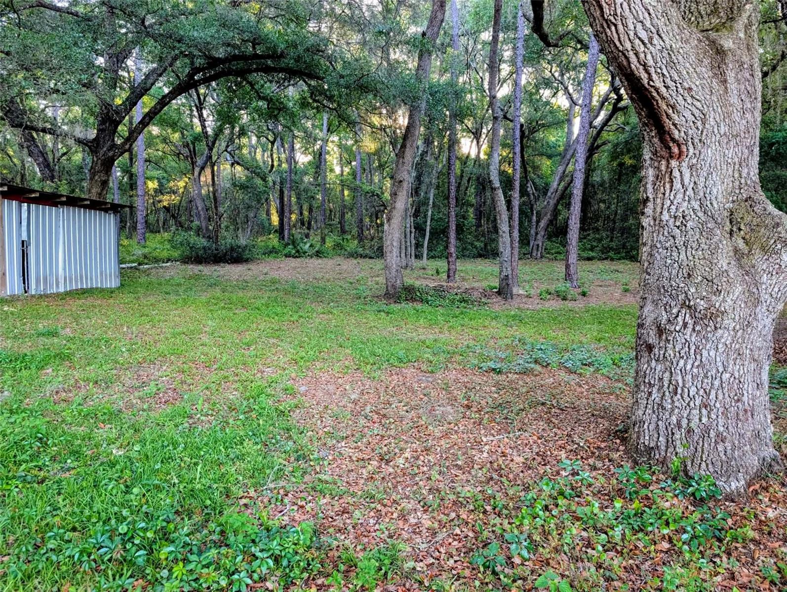 17247 SE 284TH TER, UMATILLA, FL — photo 16
