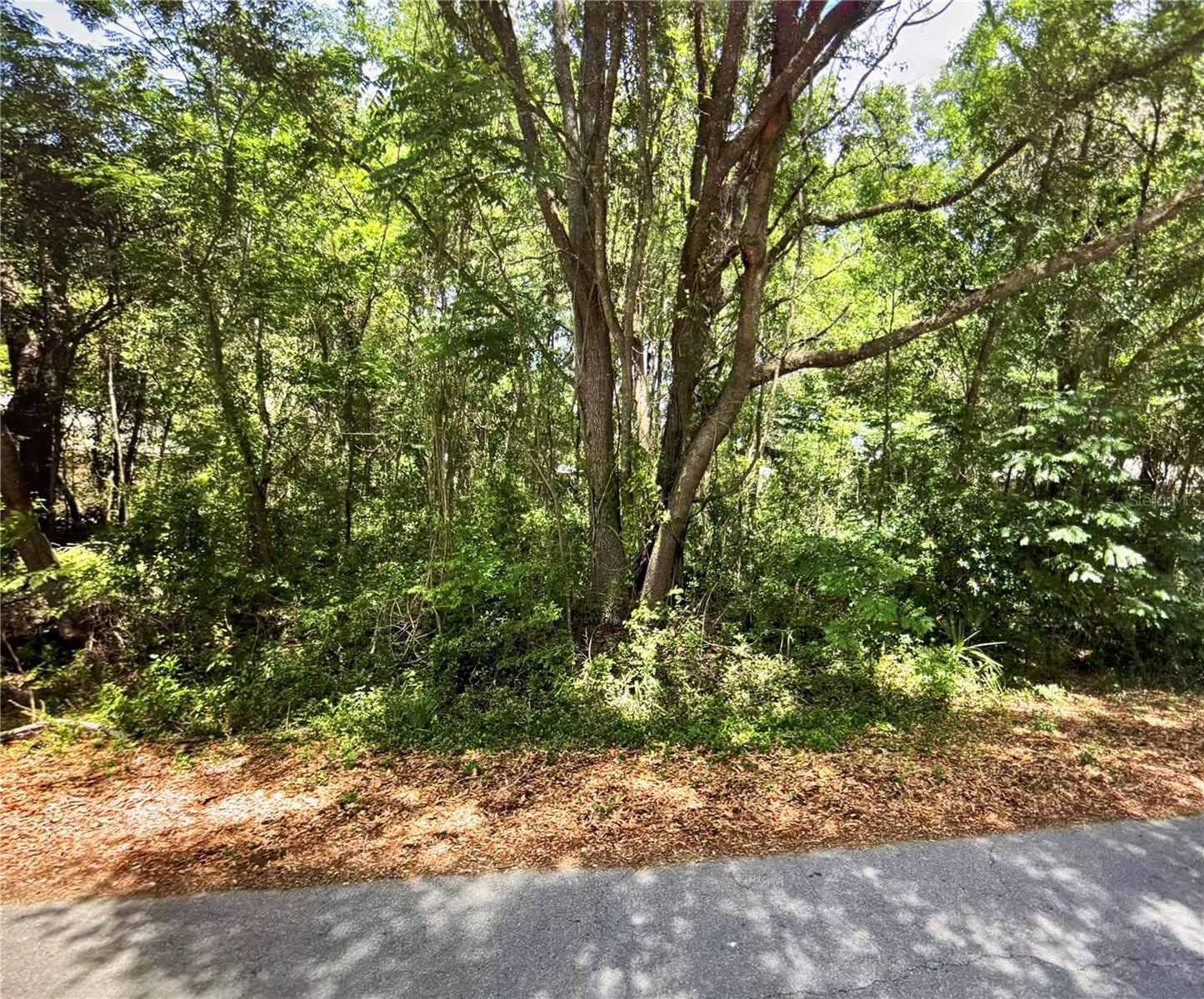 41 PINE TRACE CRSE, OCALA, FL