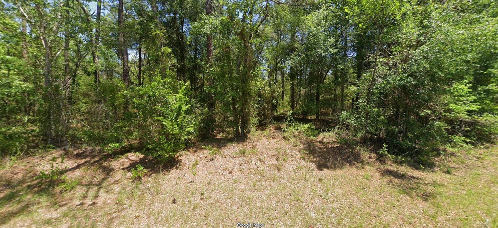NW BUENA VISTA RD, DUNNELLON, FL