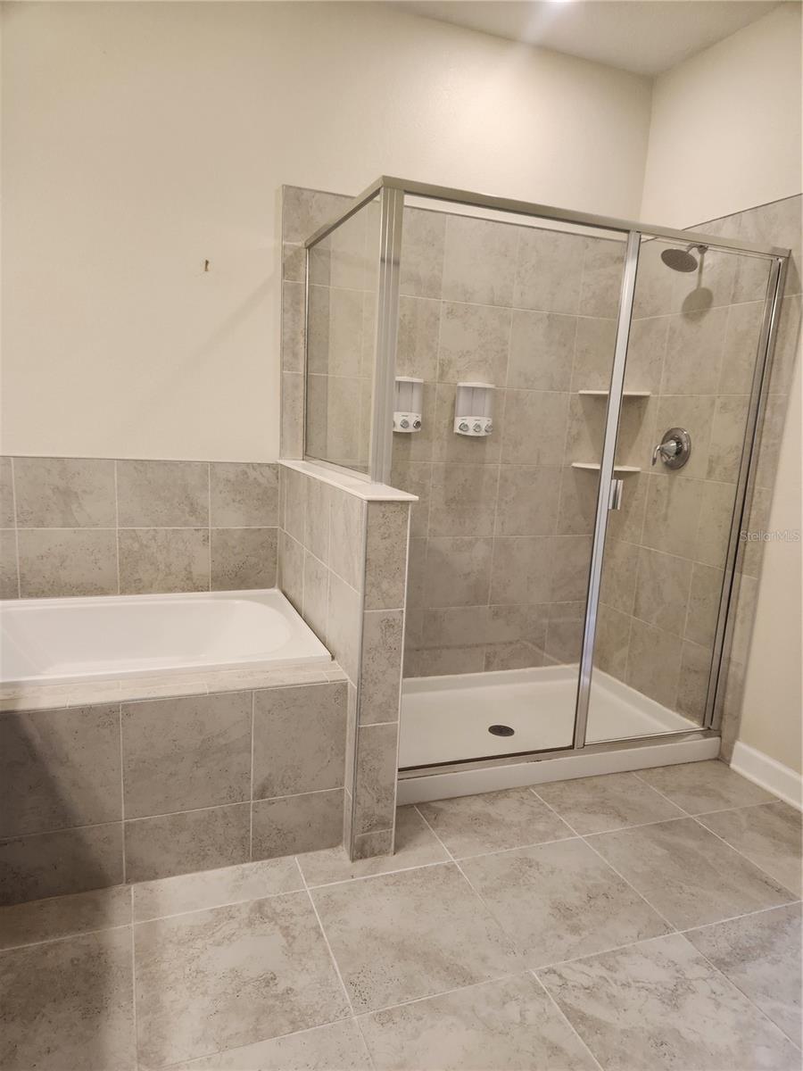 8506 ARCADIA LN, DAVENPORT, FL — photo 11