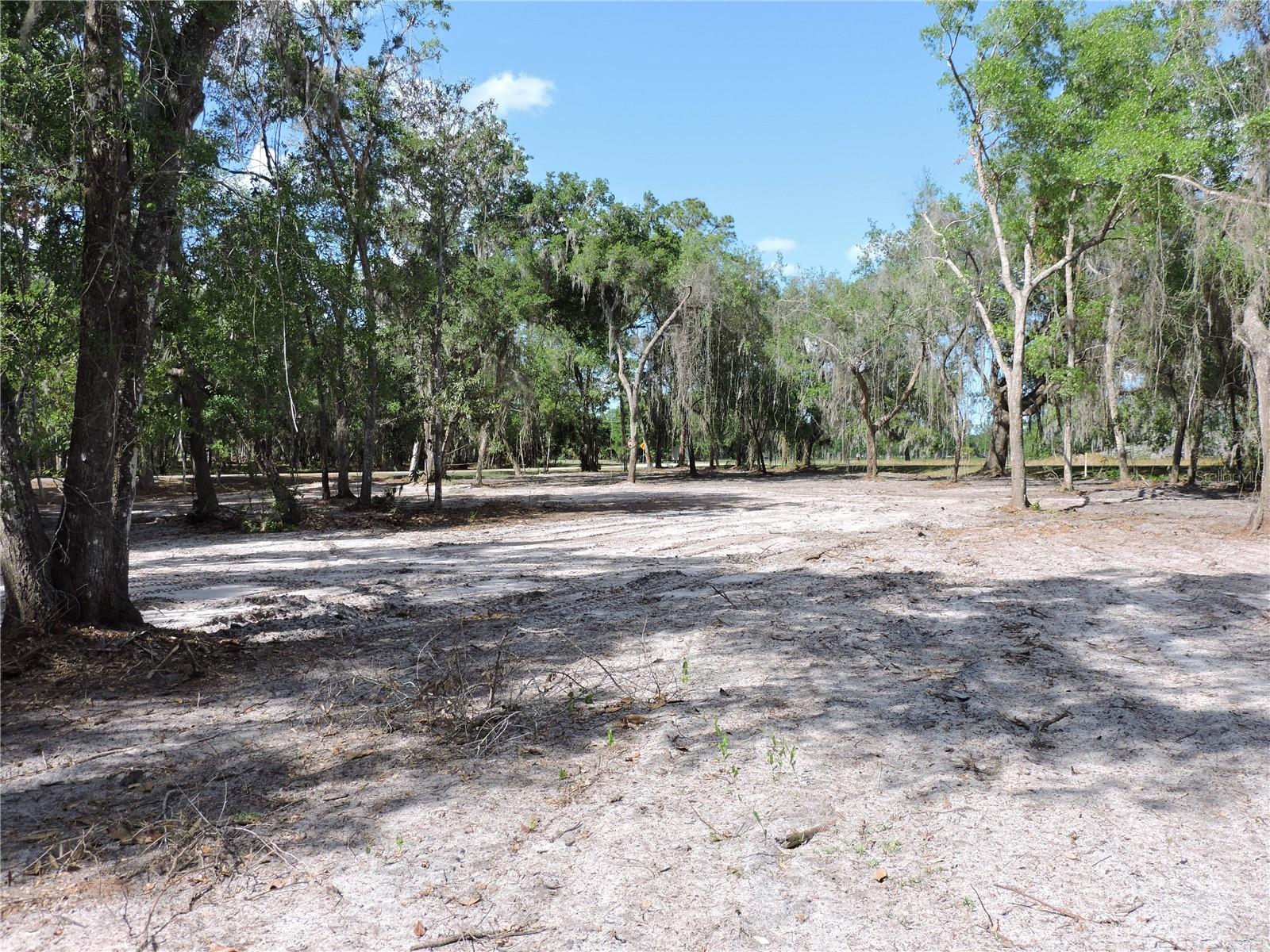 COUNTY ROAD 309, CRESCENT CITY, FL