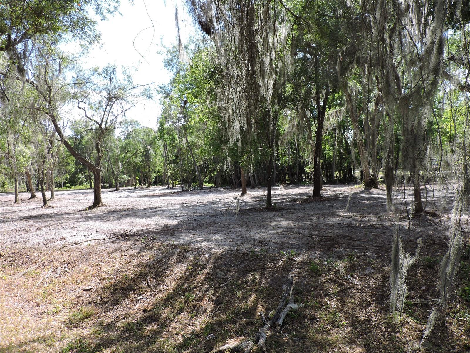 COUNTY ROAD 309, CRESCENT CITY, FL — photo 2