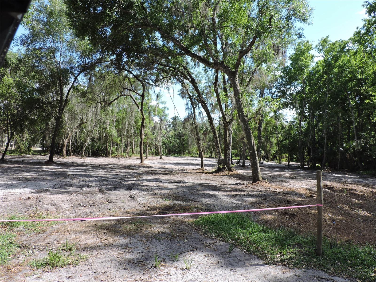COUNTY ROAD 309, CRESCENT CITY, FL — photo 3