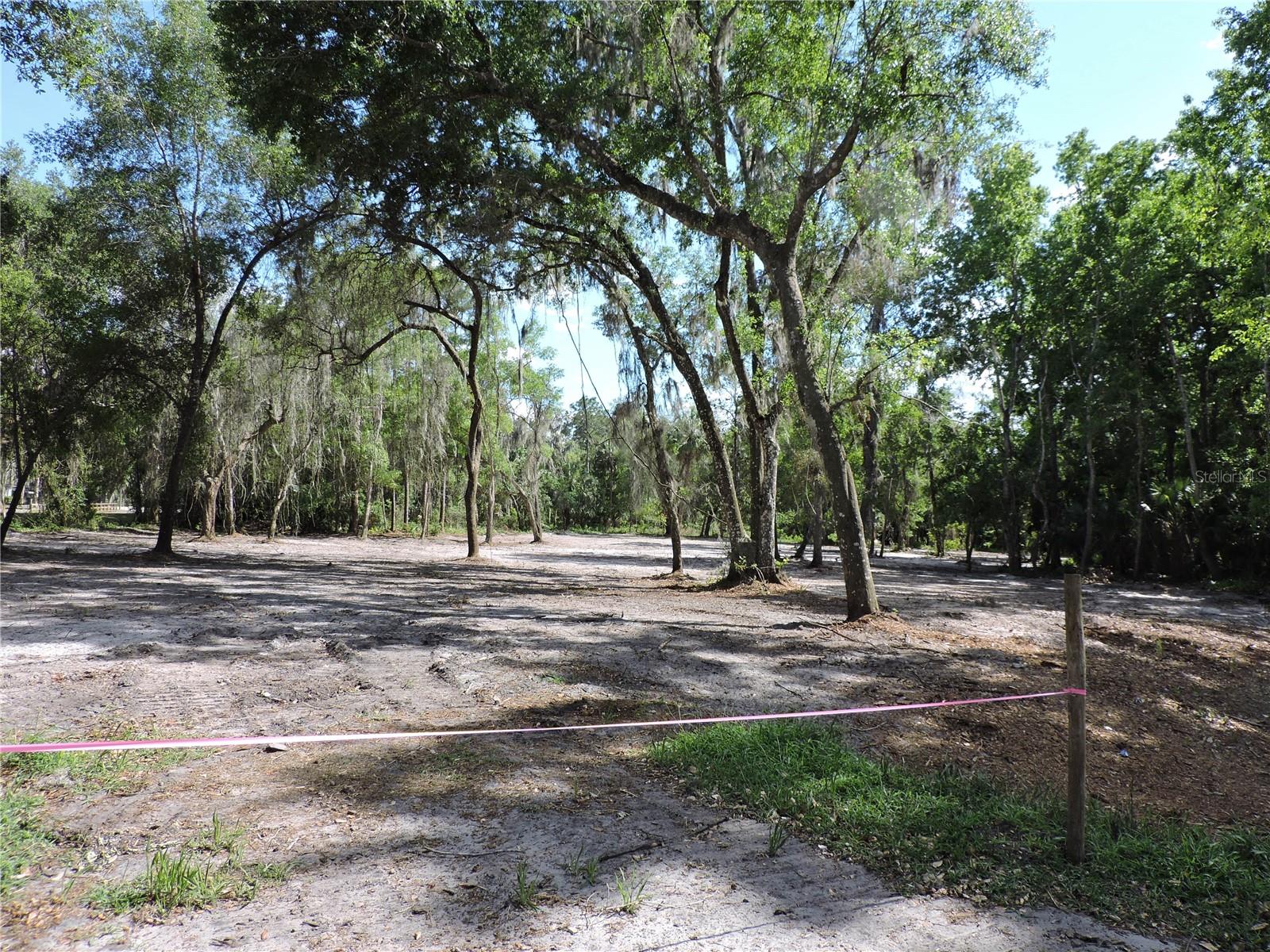 COUNTY ROAD 309, CRESCENT CITY, FL — photo 4