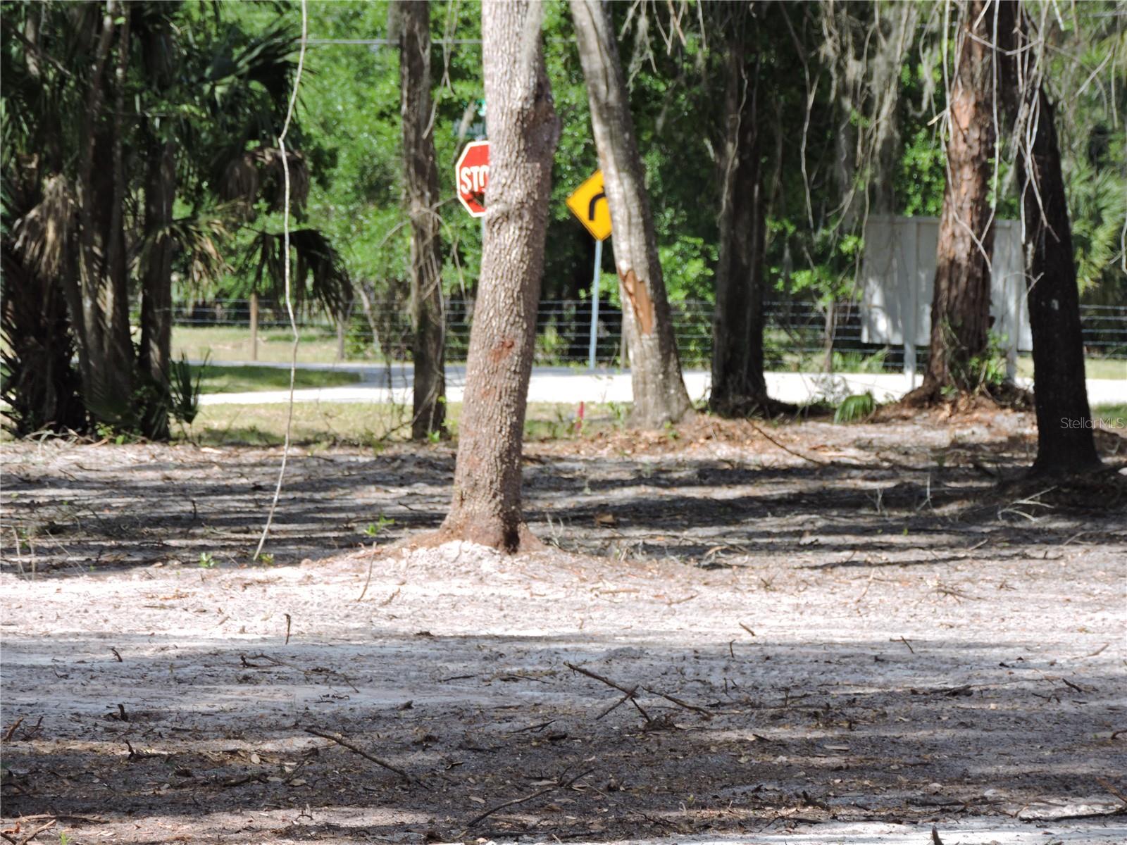 COUNTY ROAD 309, CRESCENT CITY, FL — photo 7