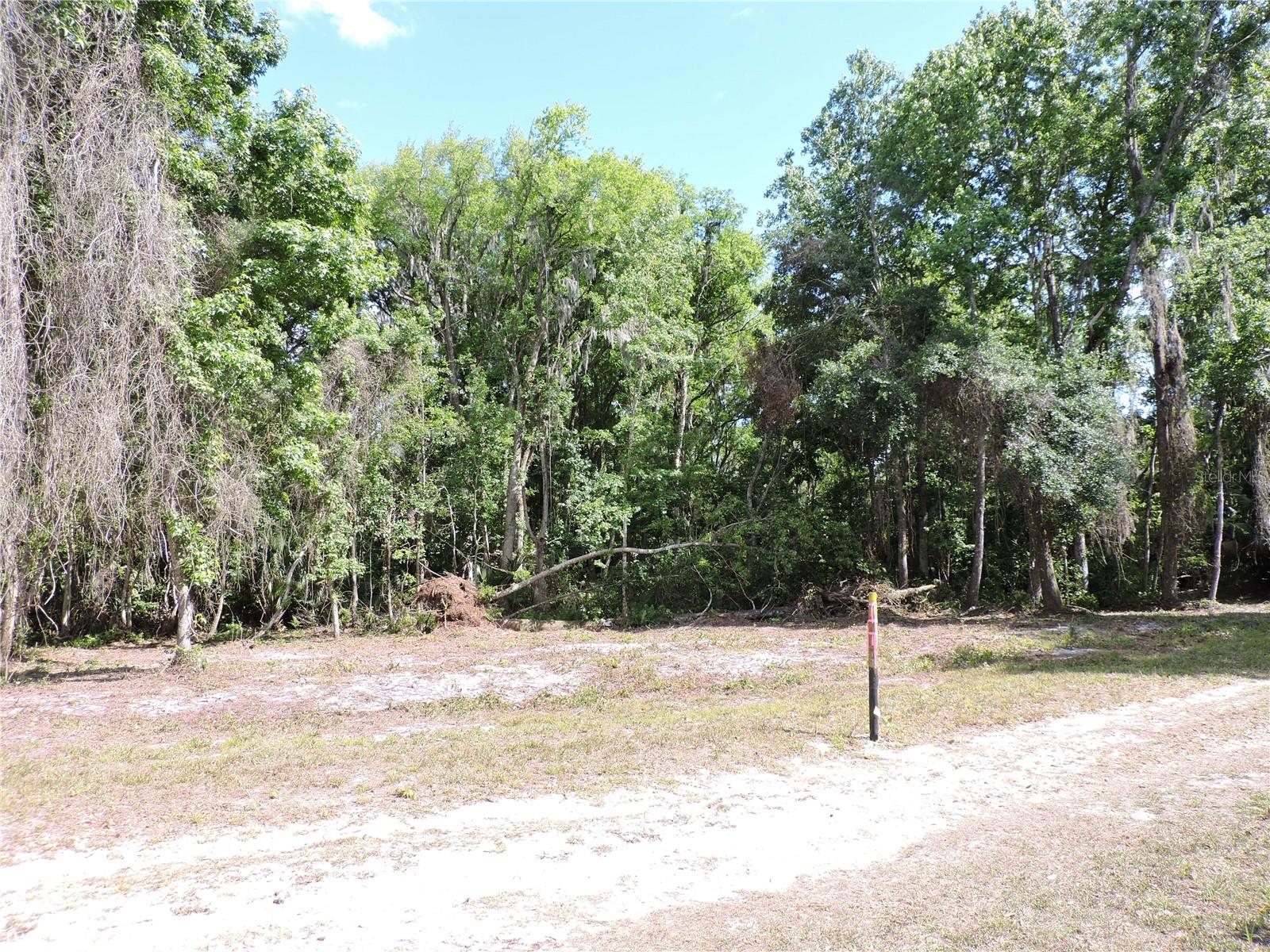 COUNTY ROAD 309, CRESCENT CITY, FL — photo 8