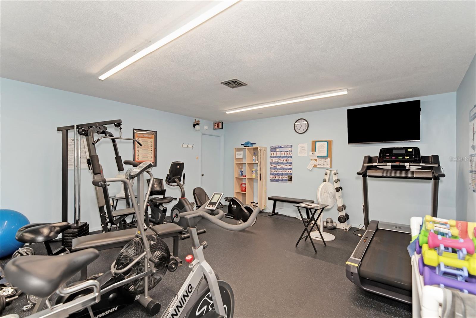 260 SANTA MARIA ST #311, VENICE, FL — photo 49