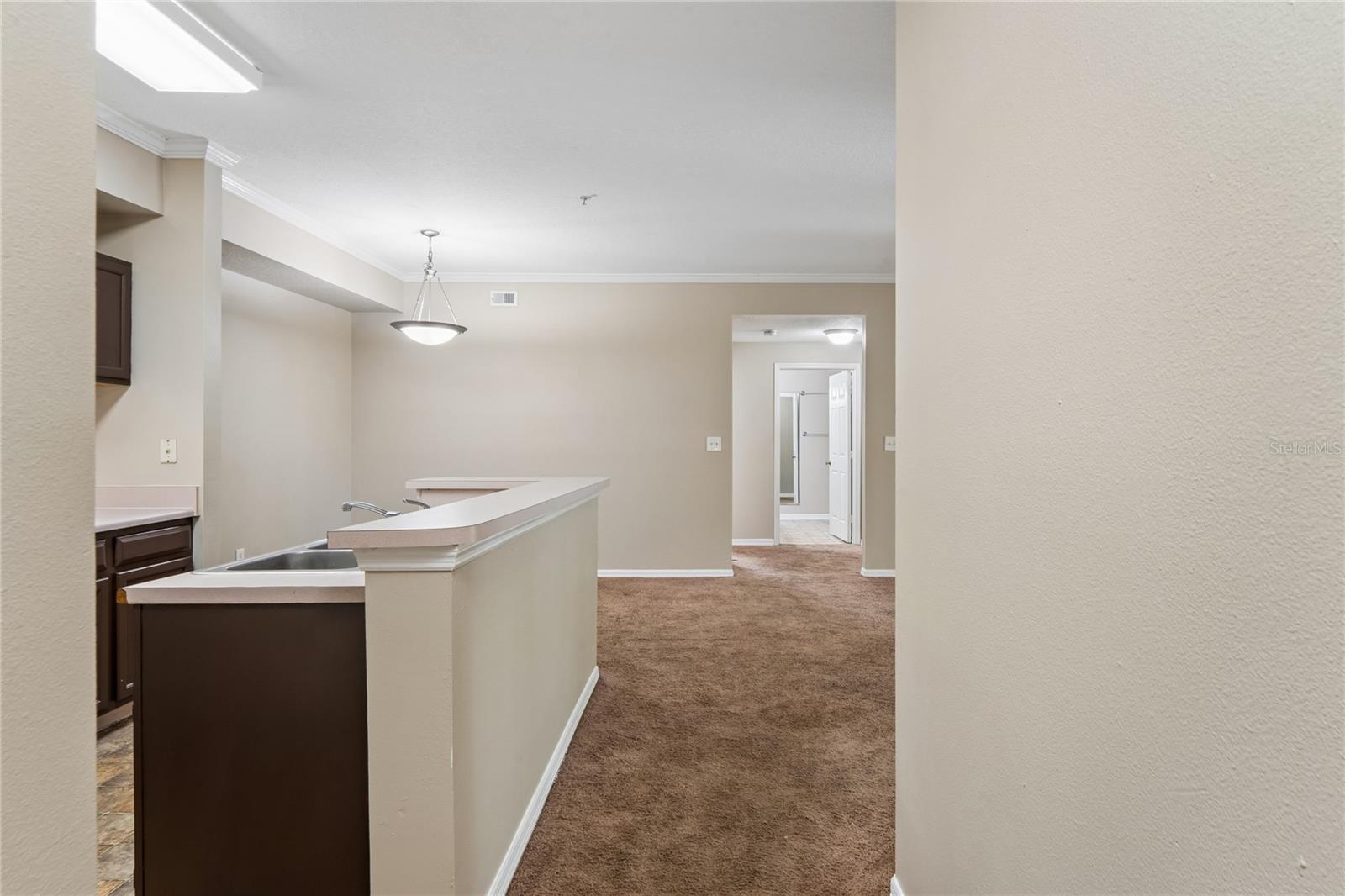 5618 PINNACLE HEIGHTS CIR #312, TAMPA, FL — photo 7