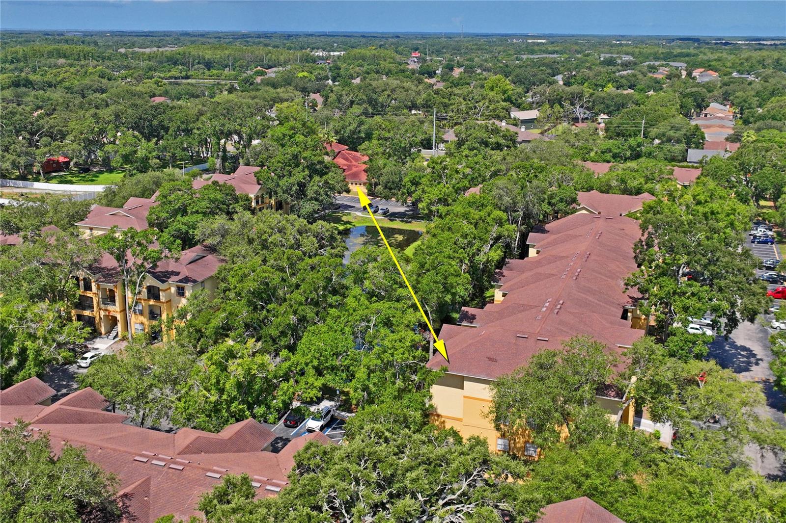 5618 PINNACLE HEIGHTS CIR #312, TAMPA, FL — photo 40