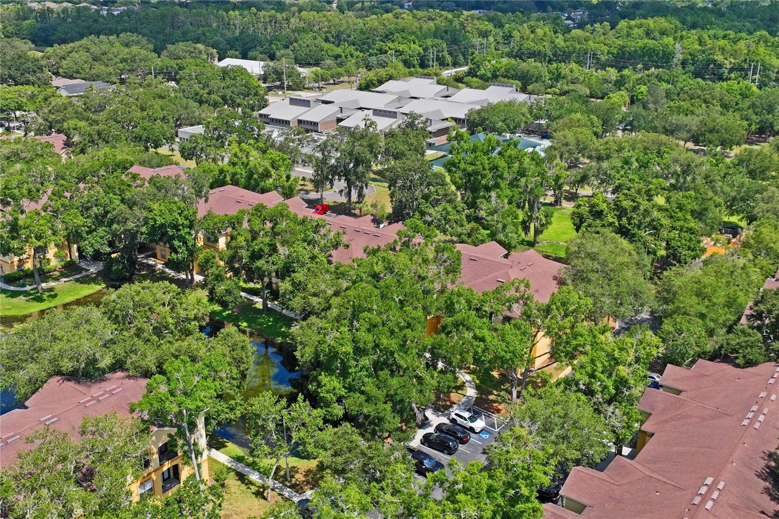 5618 PINNACLE HEIGHTS CIR #312, TAMPA, FL — photo 41