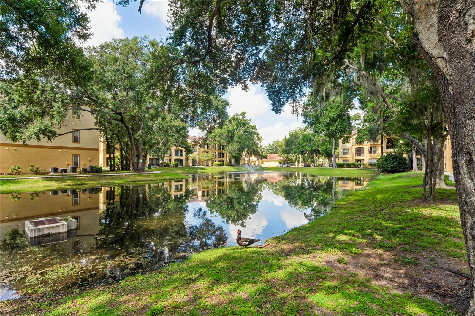 5618 PINNACLE HEIGHTS CIR #312, TAMPA, FL — photo 43