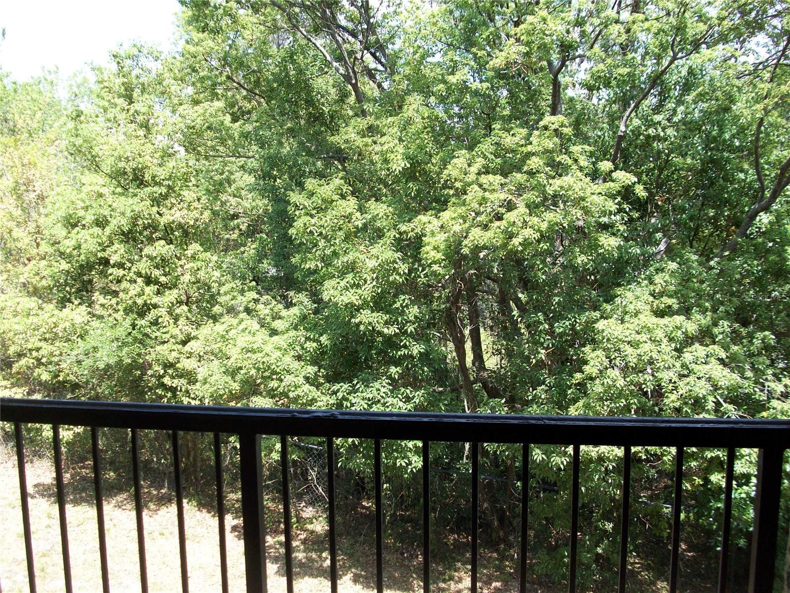 143 VILLA DI ESTE TER #205, LAKE MARY, FL — photo 15