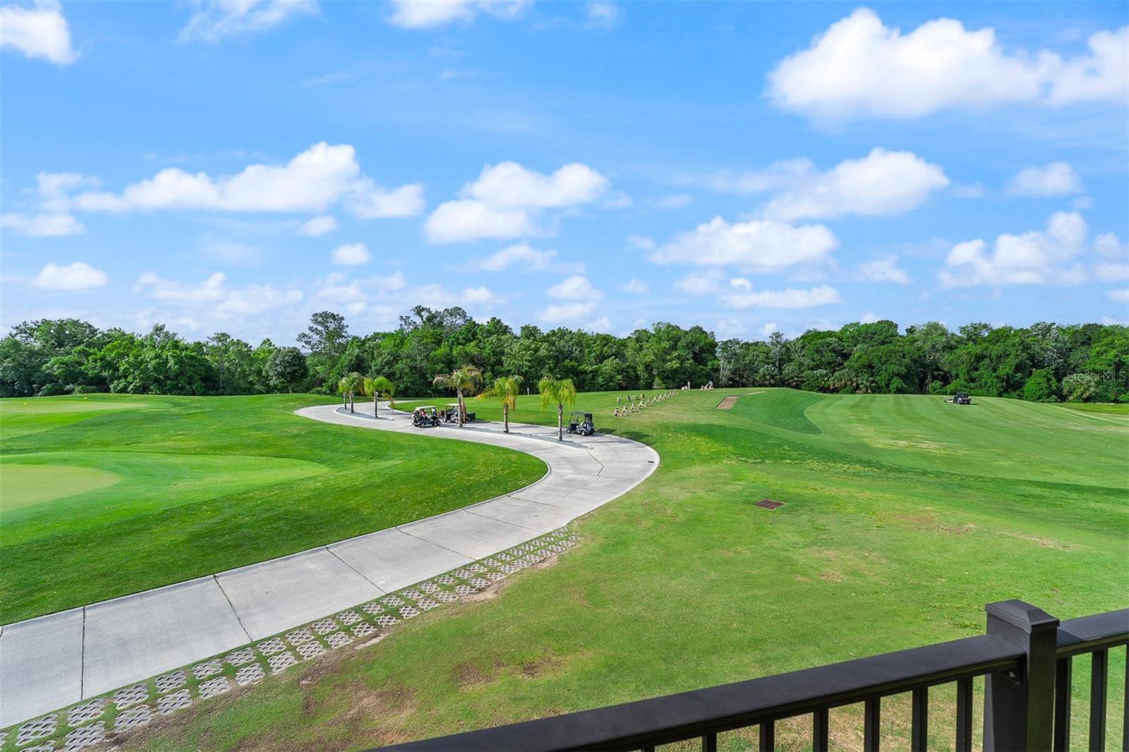 856 DRIVING RANGE CT, REUNION, FL — photo 16