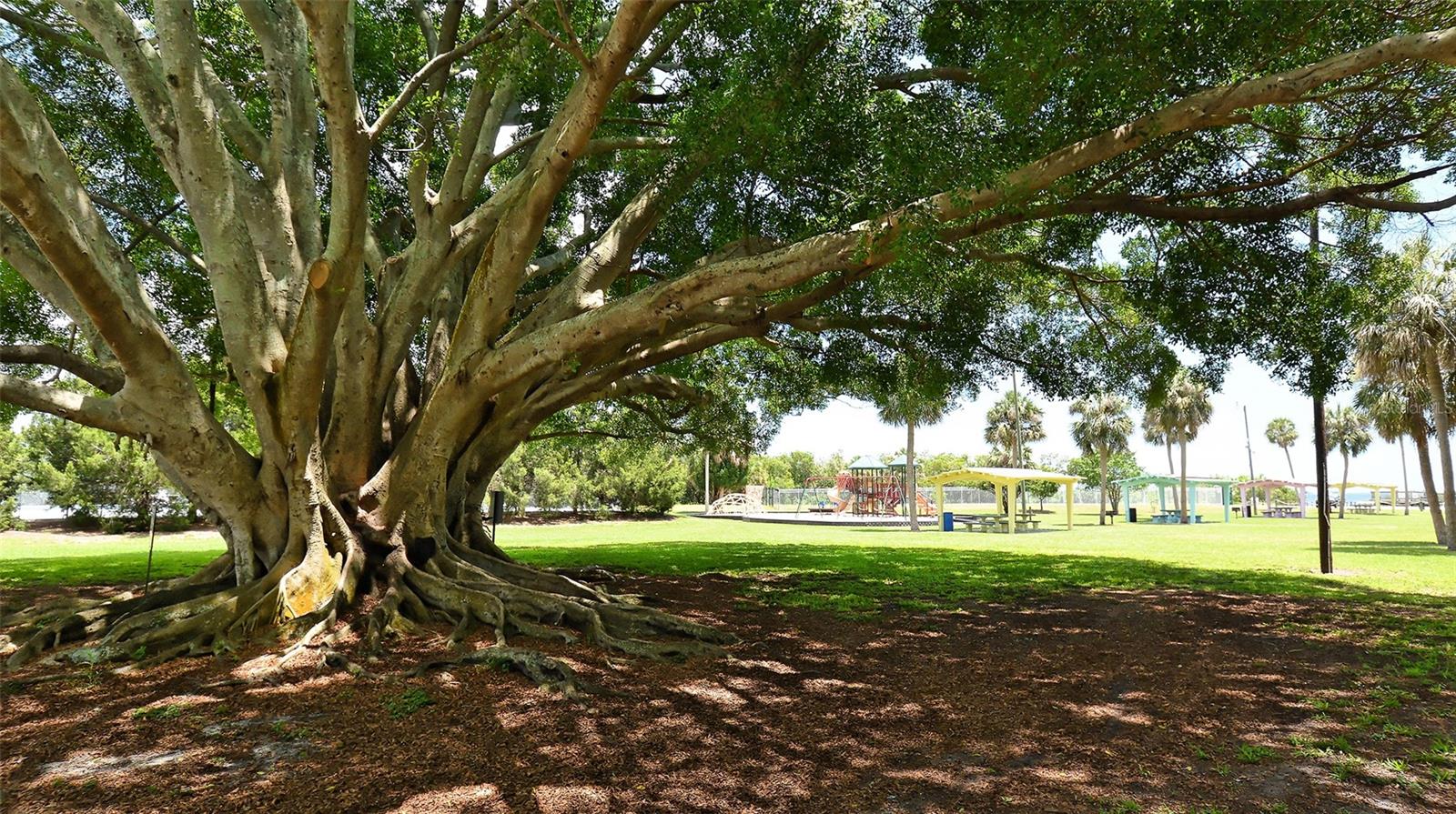 1554 PLEASANT RD #J5, BRADENTON, FL — photo 28