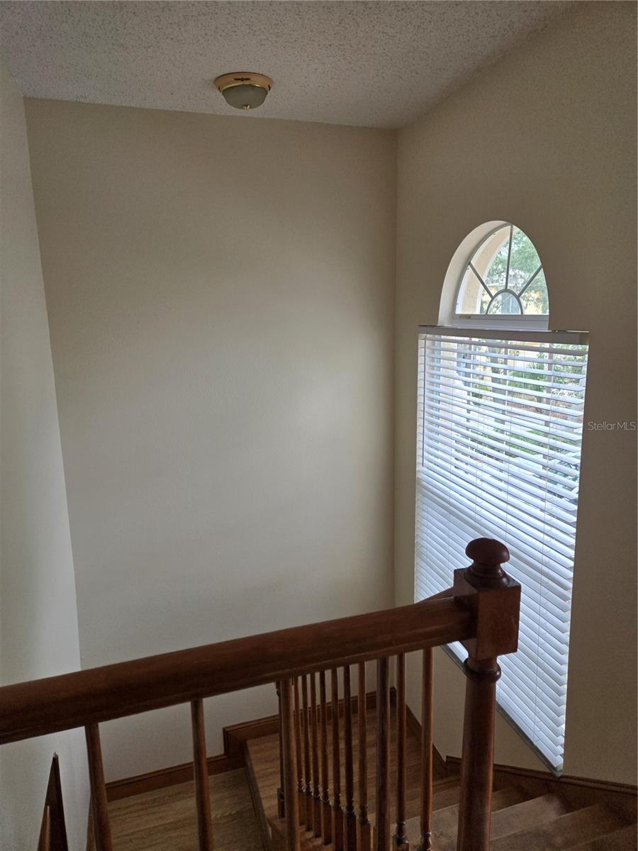 728 BURLWOOD ST, BRANDON, FL — photo 21