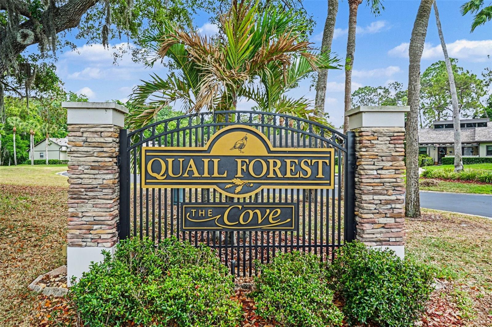 10 LESLEY LN, OLDSMAR, FL — photo 38