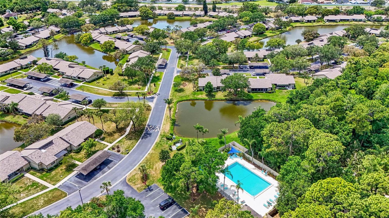 10 LESLEY LN, OLDSMAR, FL — photo 41