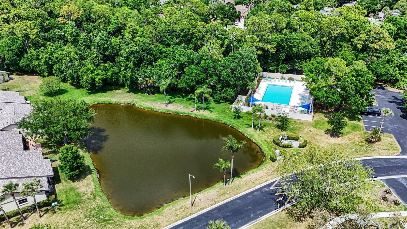 10 LESLEY LN, OLDSMAR, FL — photo 42