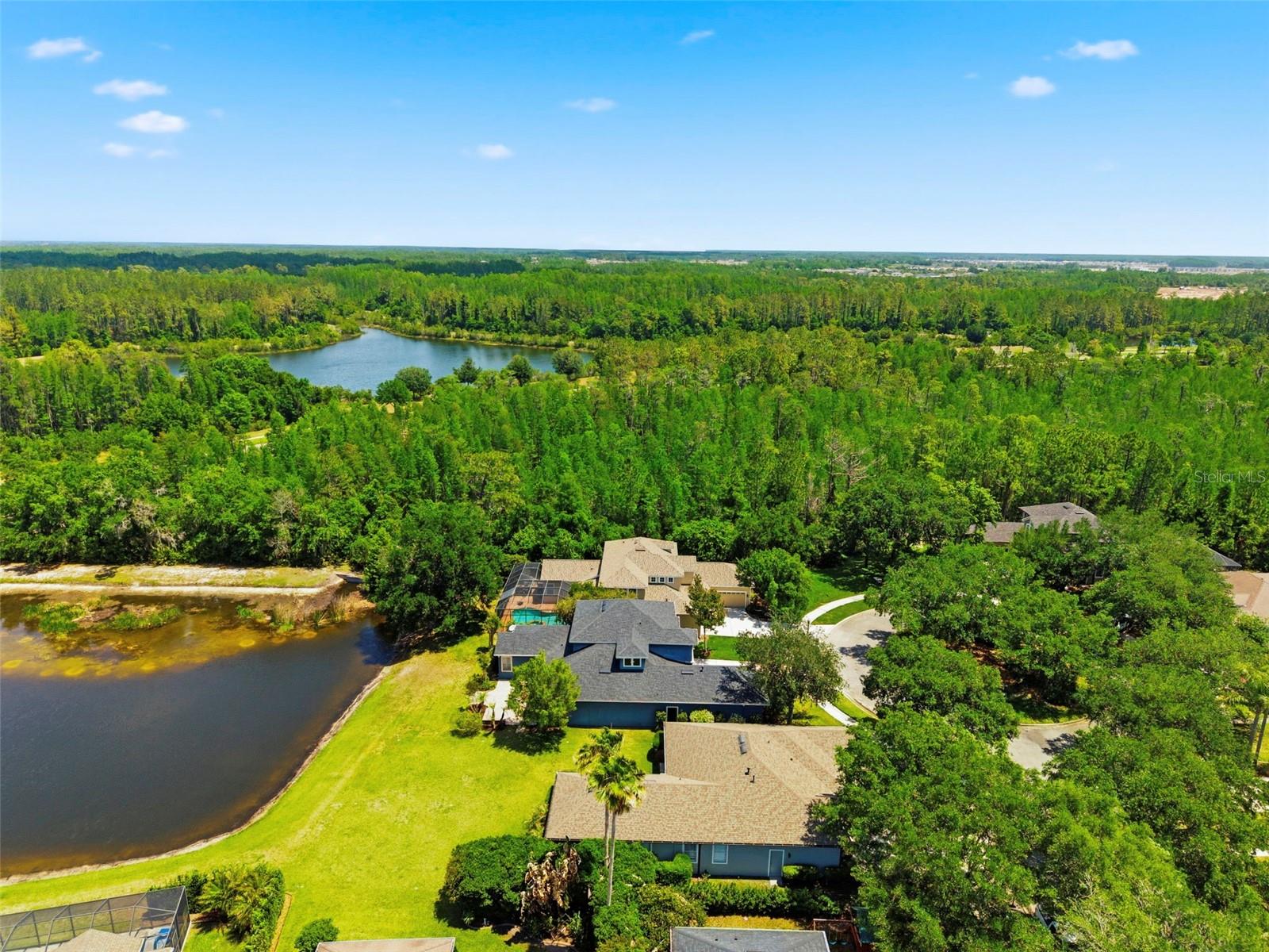 20629 WILD PLUM CT, LAND O LAKES, FL — photo 2