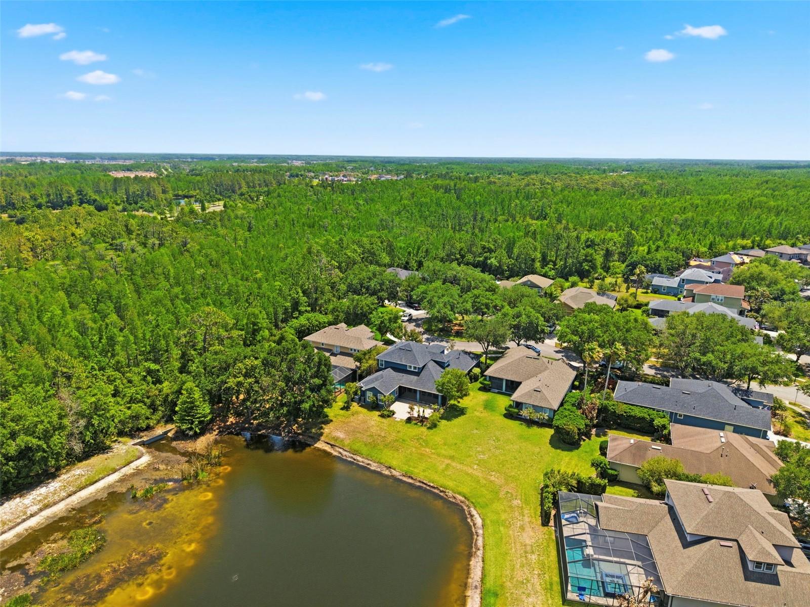 20629 WILD PLUM CT, LAND O LAKES, FL — photo 3