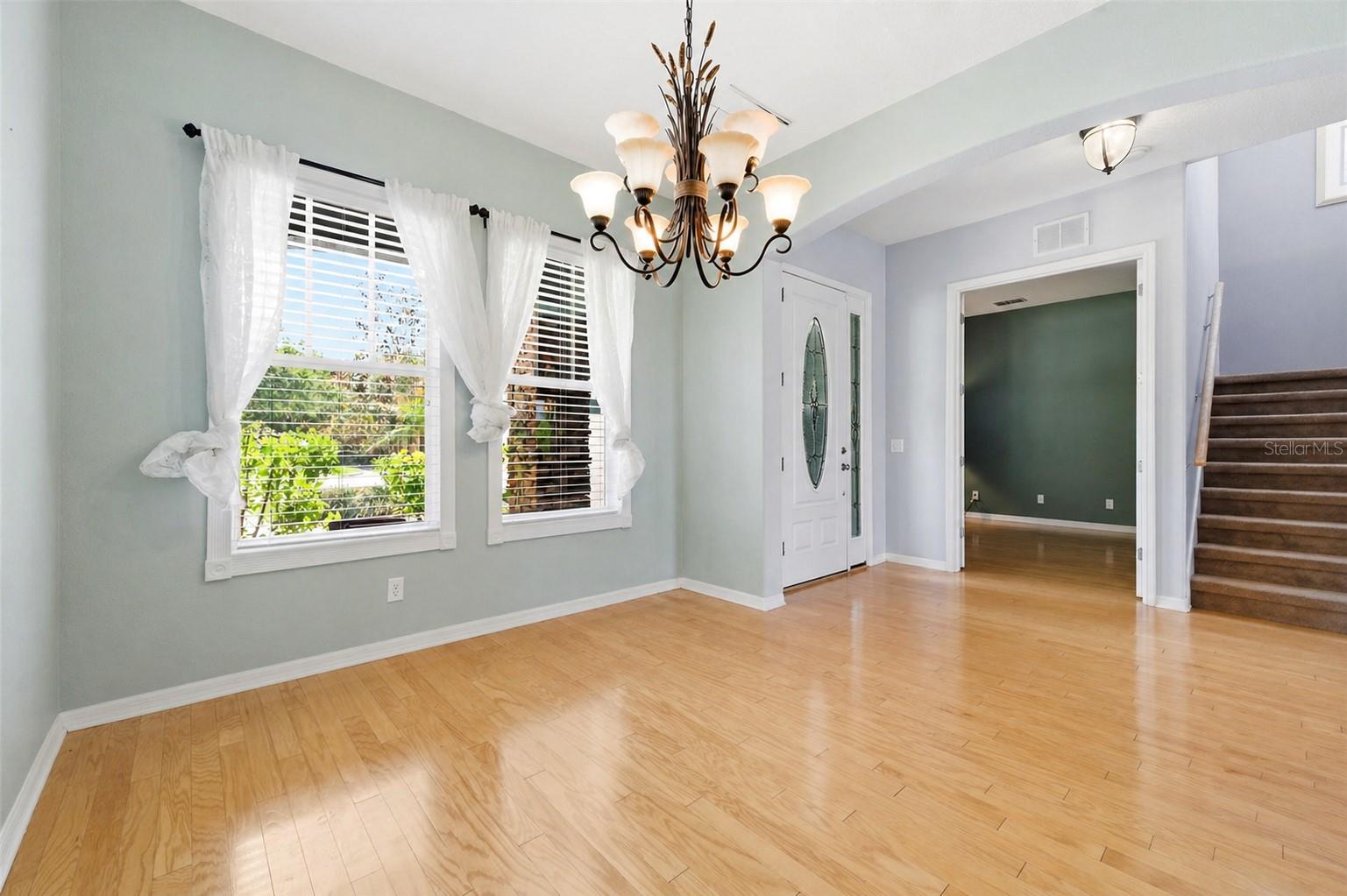 20629 WILD PLUM CT, LAND O LAKES, FL — photo 8