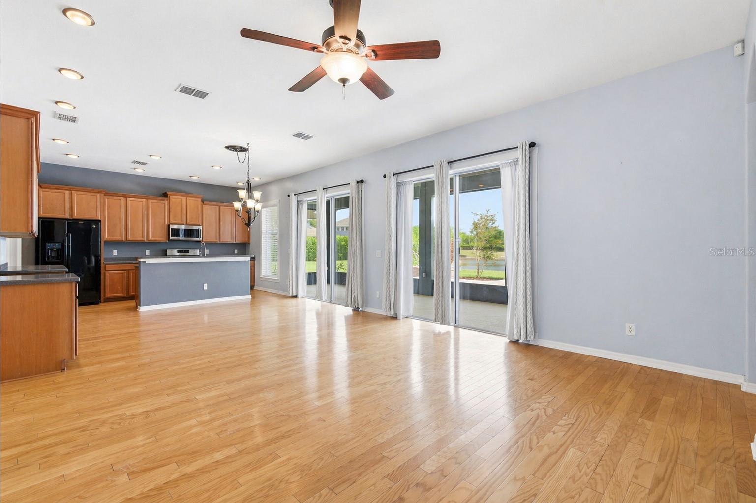 20629 WILD PLUM CT, LAND O LAKES, FL — photo 12
