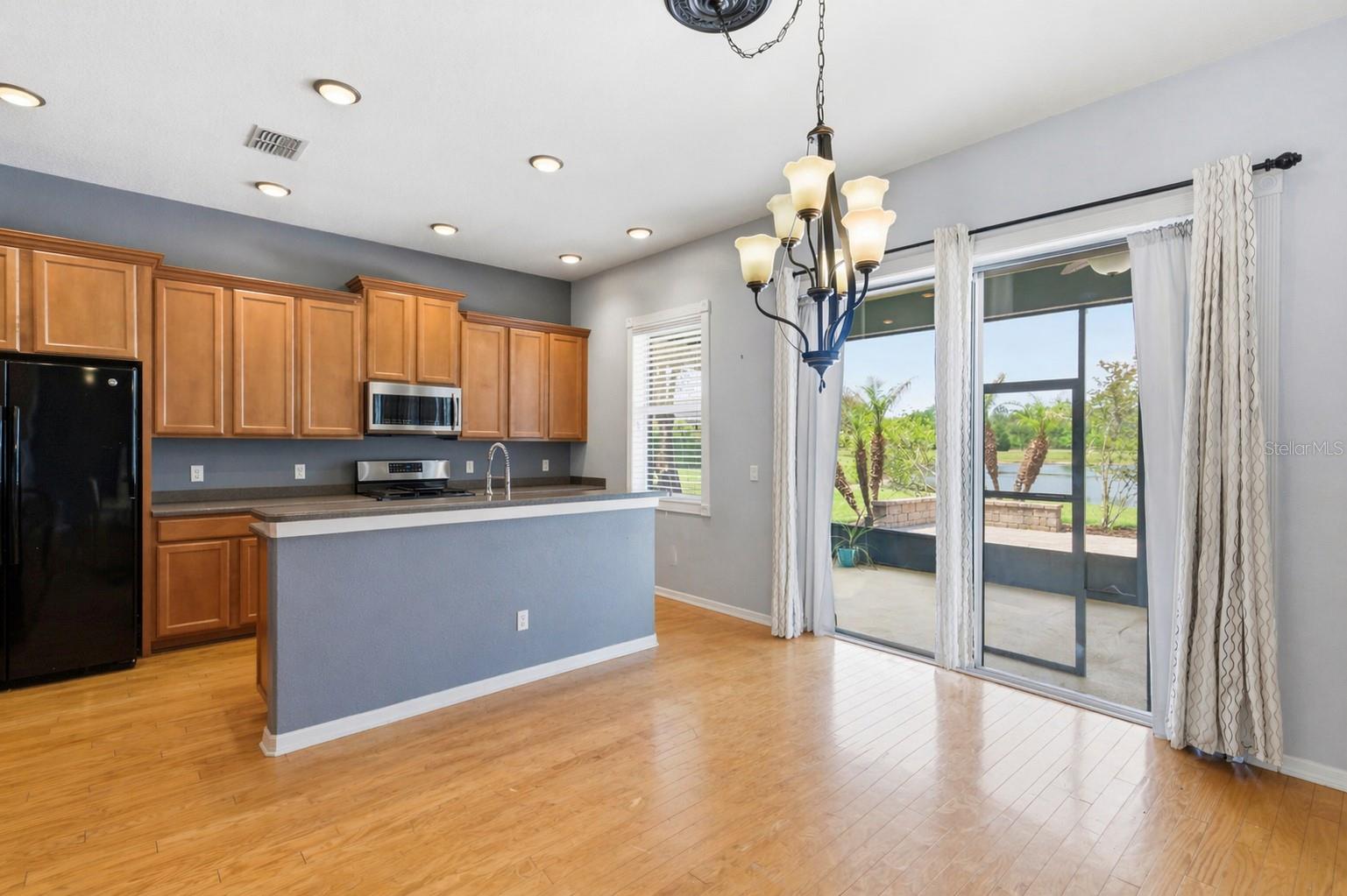 20629 WILD PLUM CT, LAND O LAKES, FL — photo 17