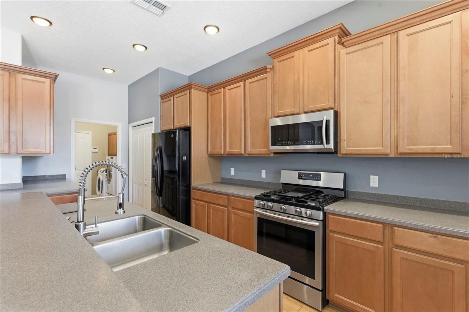 20629 WILD PLUM CT, LAND O LAKES, FL — photo 19