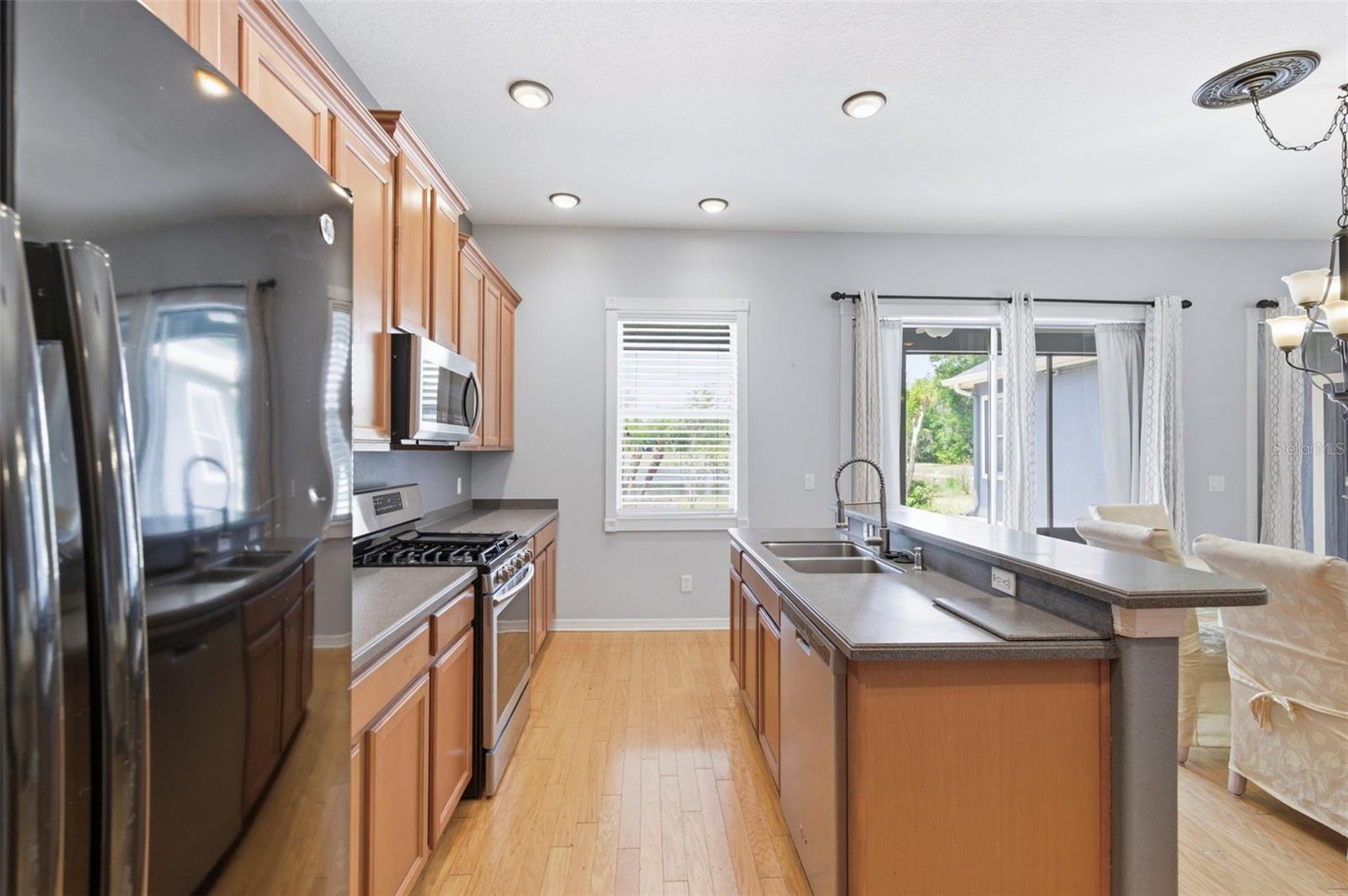 20629 WILD PLUM CT, LAND O LAKES, FL — photo 21