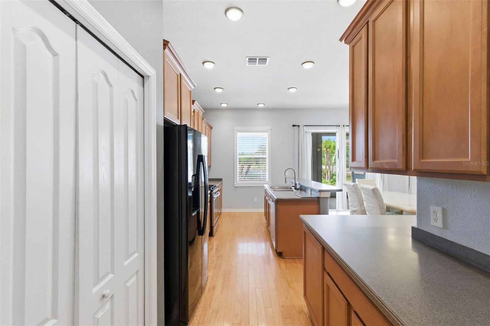 20629 WILD PLUM CT, LAND O LAKES, FL — photo 22