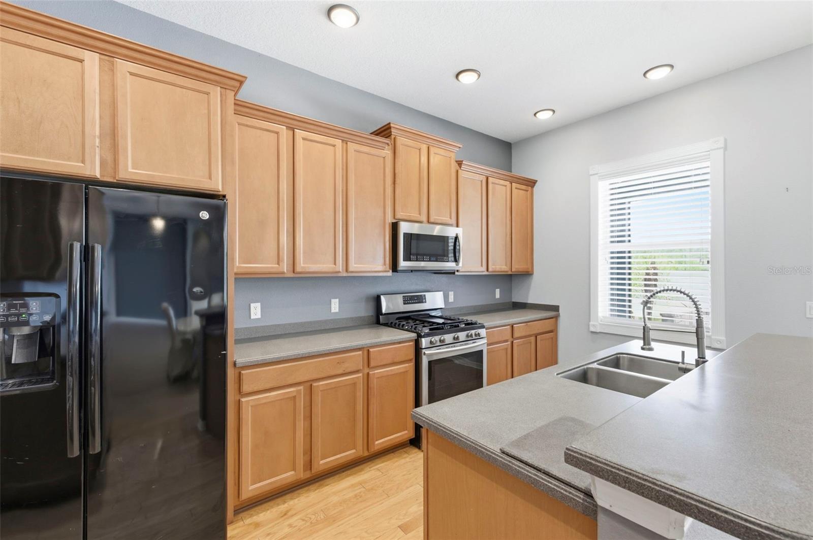 20629 WILD PLUM CT, LAND O LAKES, FL — photo 23