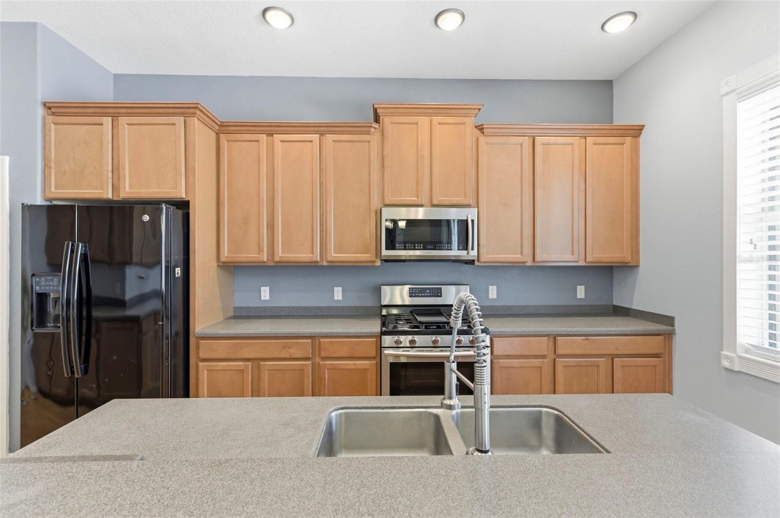20629 WILD PLUM CT, LAND O LAKES, FL — photo 24