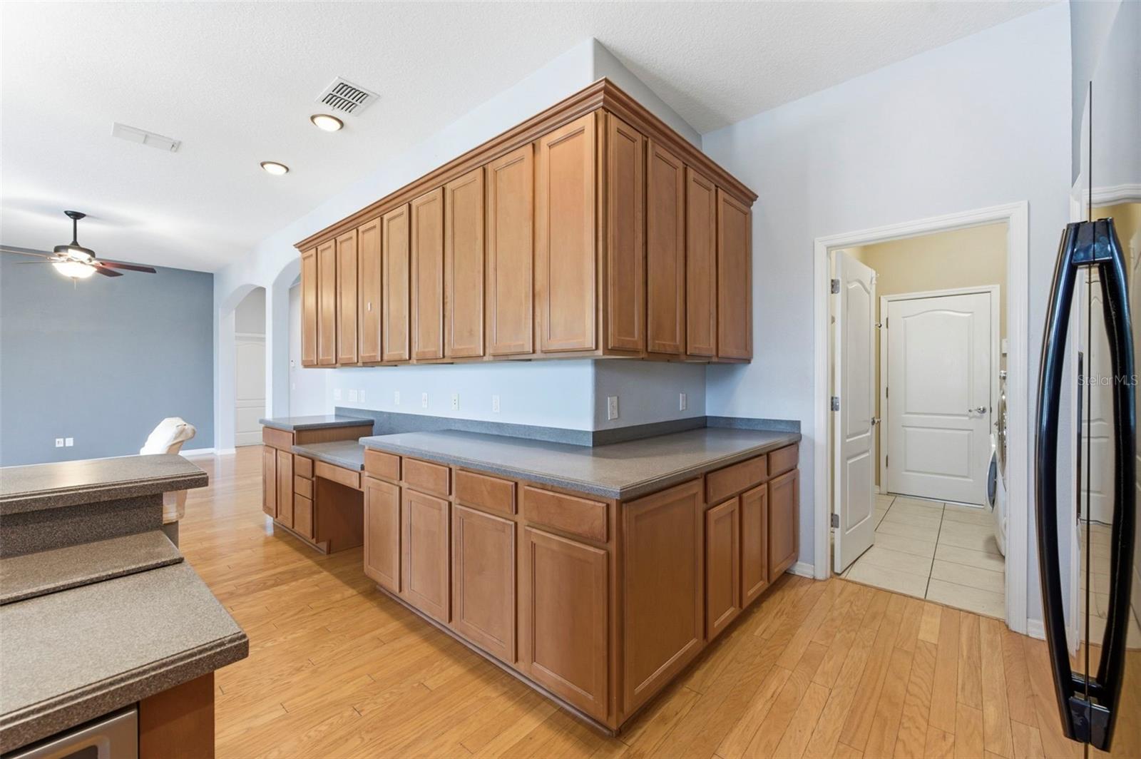 20629 WILD PLUM CT, LAND O LAKES, FL — photo 25