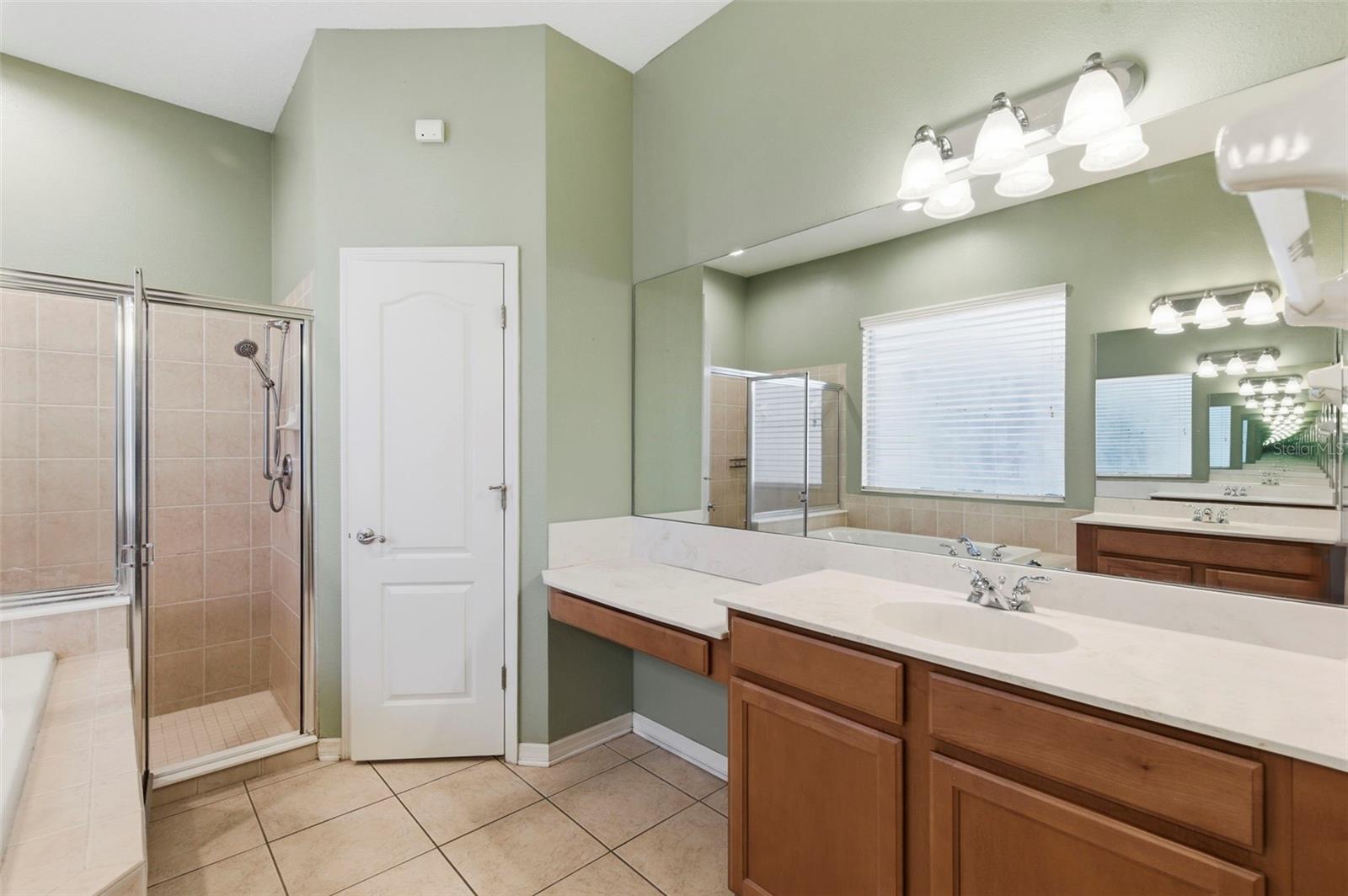 20629 WILD PLUM CT, LAND O LAKES, FL — photo 29