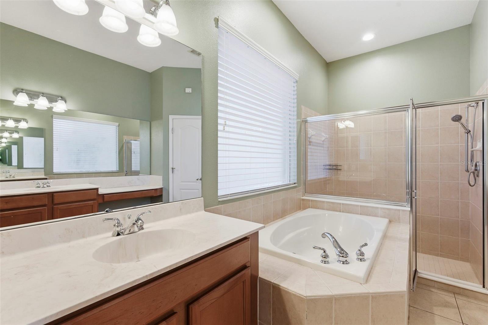 20629 WILD PLUM CT, LAND O LAKES, FL — photo 30