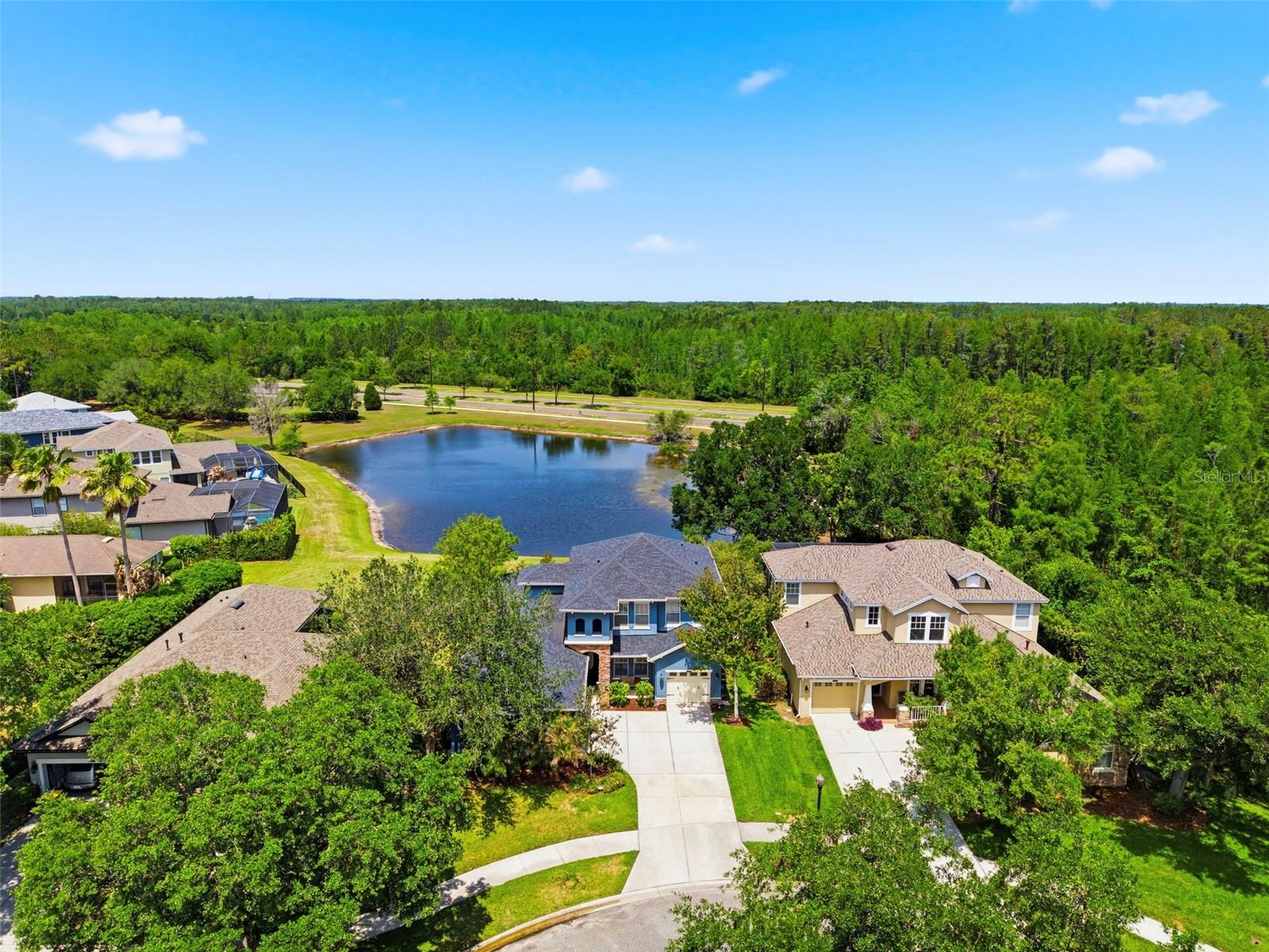 20629 WILD PLUM CT, LAND O LAKES, FL — photo 72