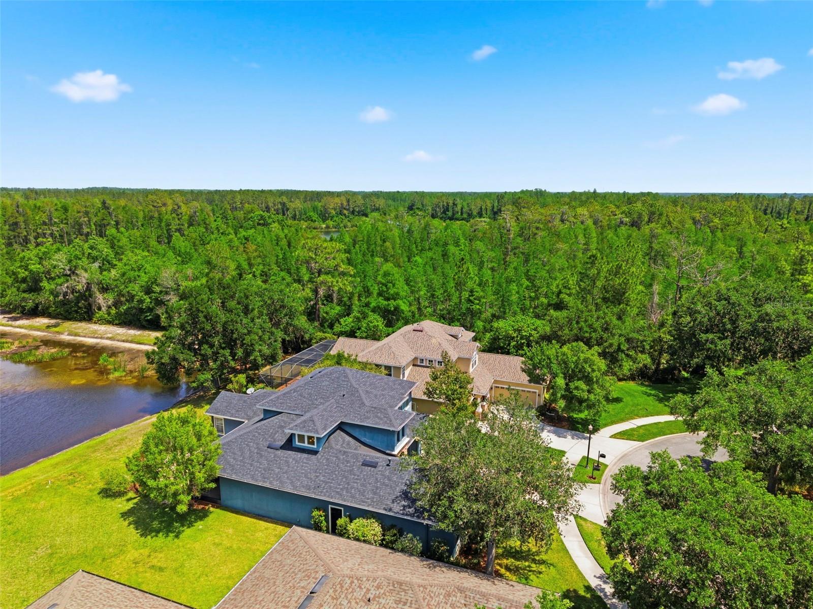 20629 WILD PLUM CT, LAND O LAKES, FL — photo 73