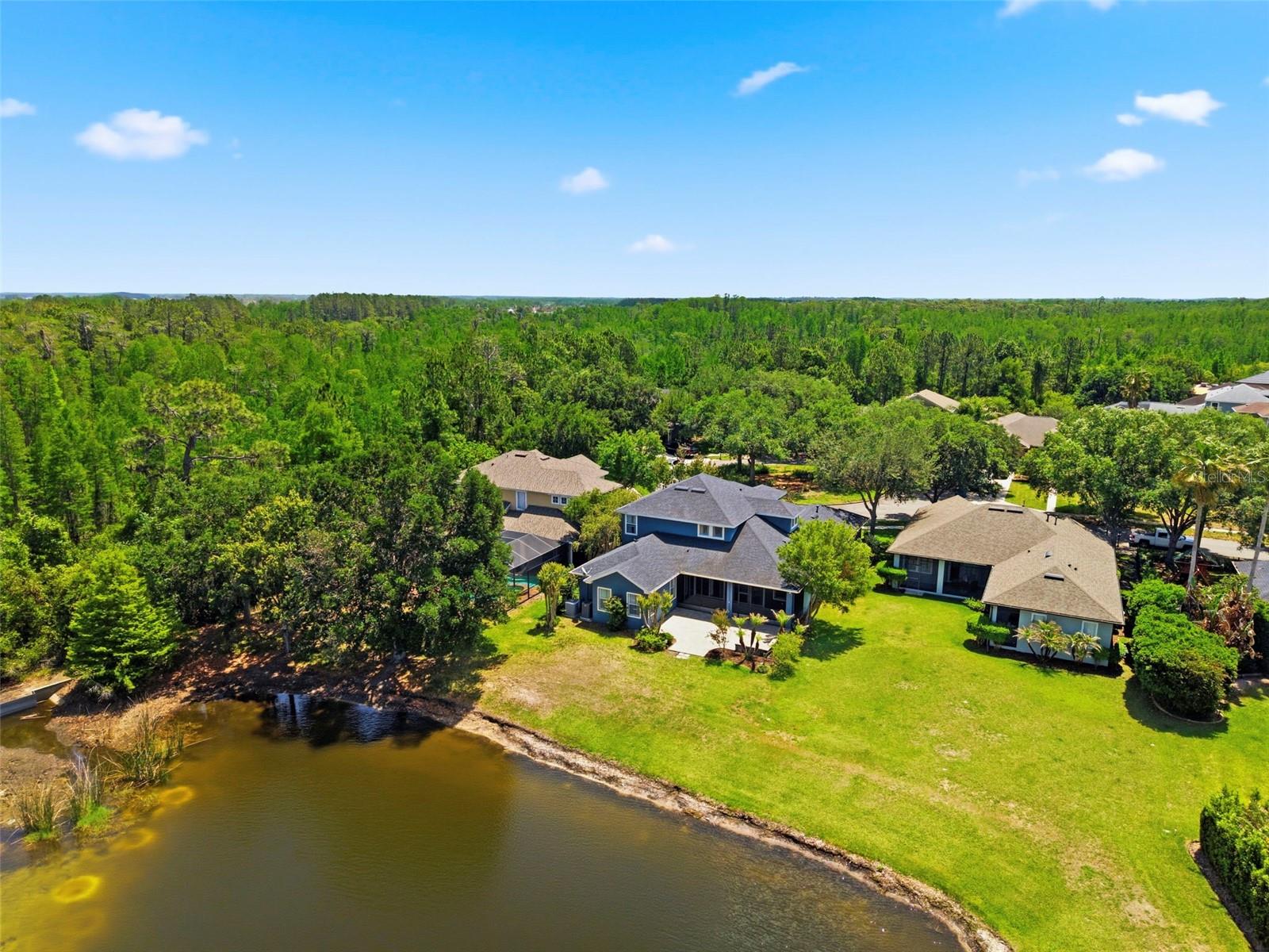 20629 WILD PLUM CT, LAND O LAKES, FL — photo 74