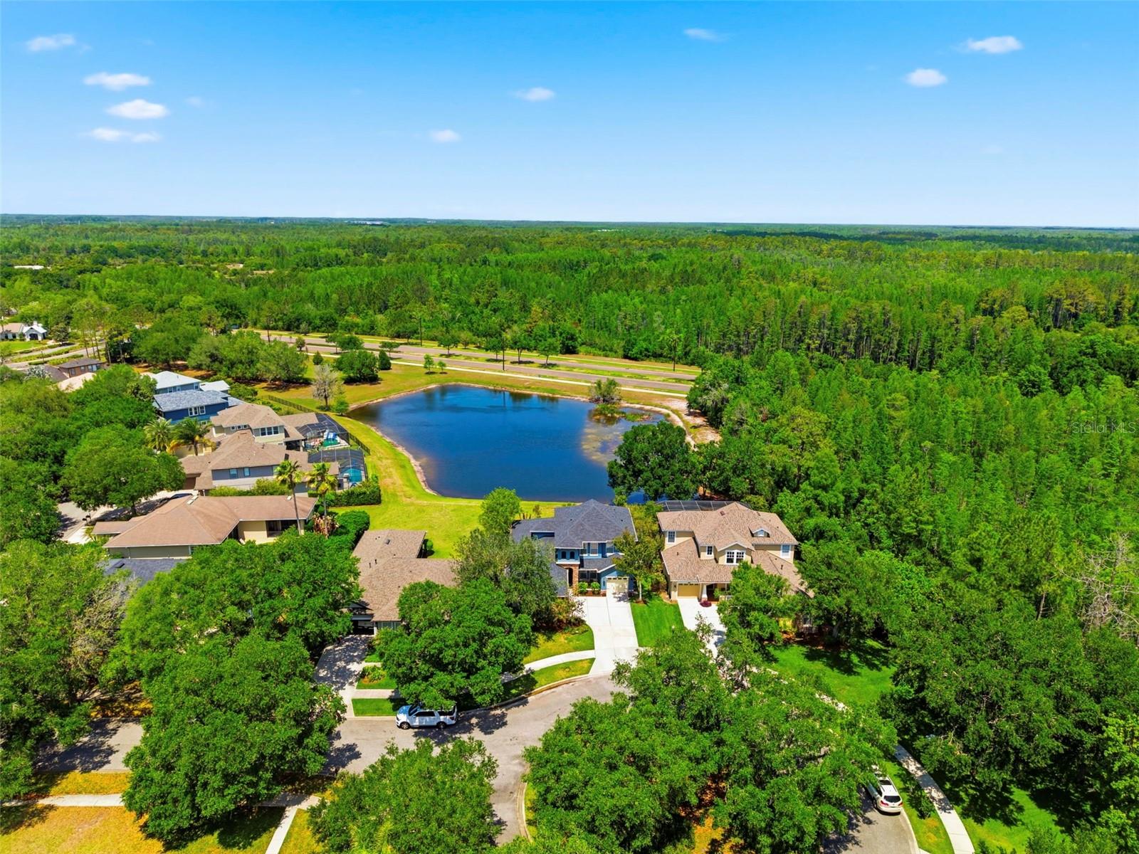 20629 WILD PLUM CT, LAND O LAKES, FL — photo 77