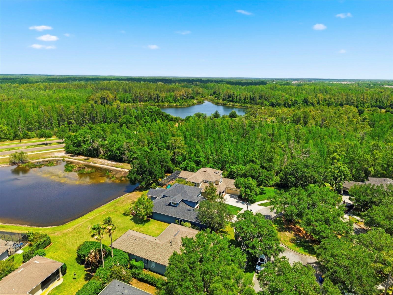 20629 WILD PLUM CT, LAND O LAKES, FL — photo 78