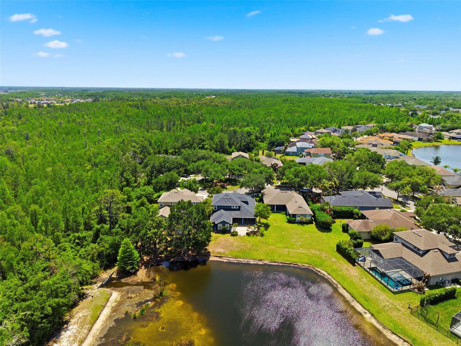 20629 WILD PLUM CT, LAND O LAKES, FL — photo 79