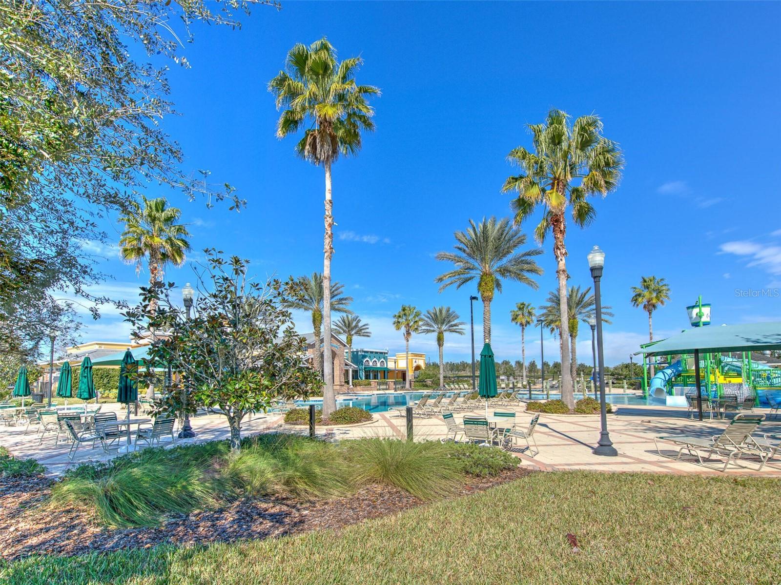20629 WILD PLUM CT, LAND O LAKES, FL — photo 86