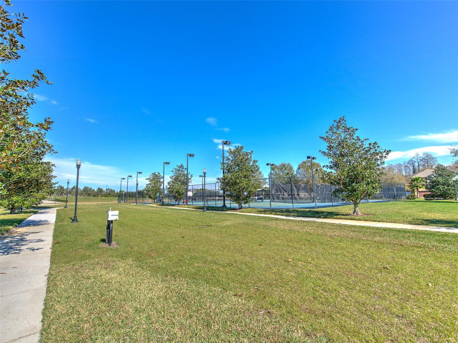 20629 WILD PLUM CT, LAND O LAKES, FL — photo 88